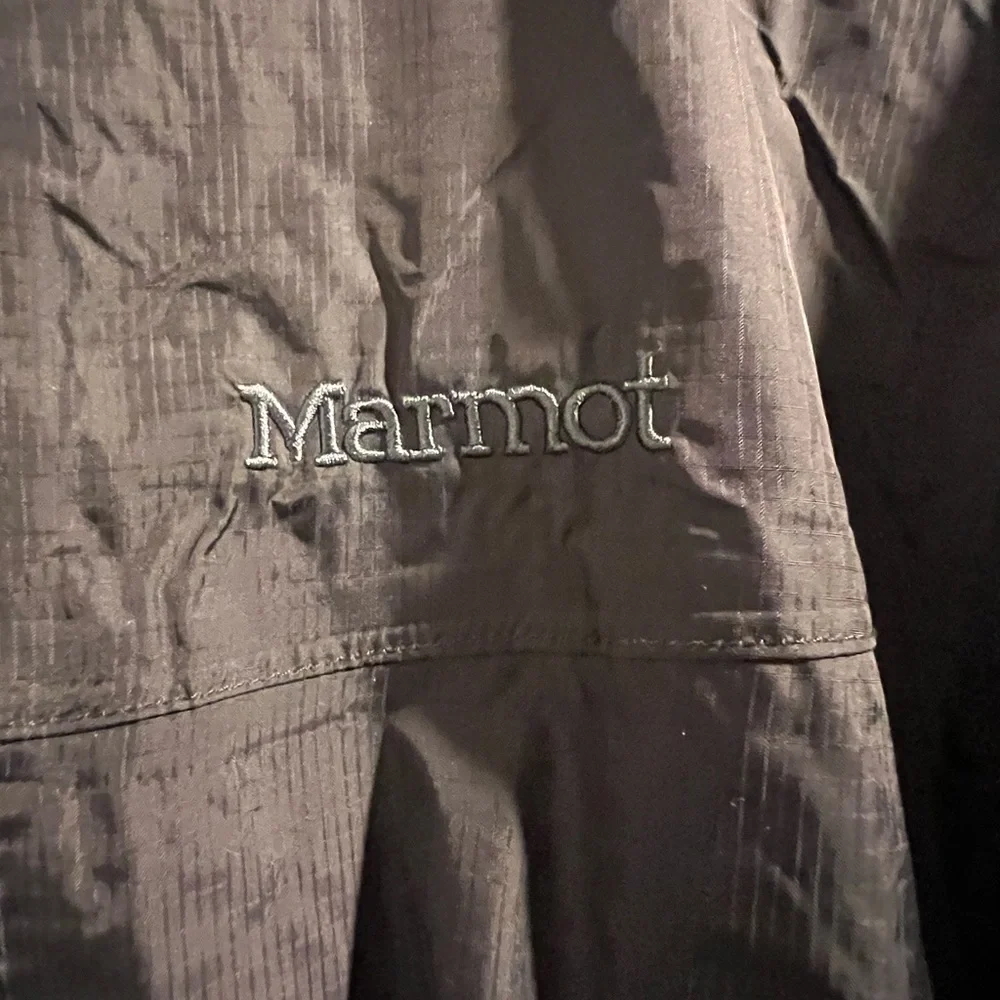 Marmot - Picture 2 of 4